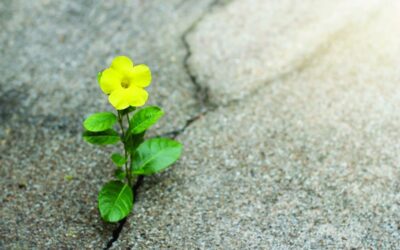 Navigating Uncertain Times with Hope and Optimism